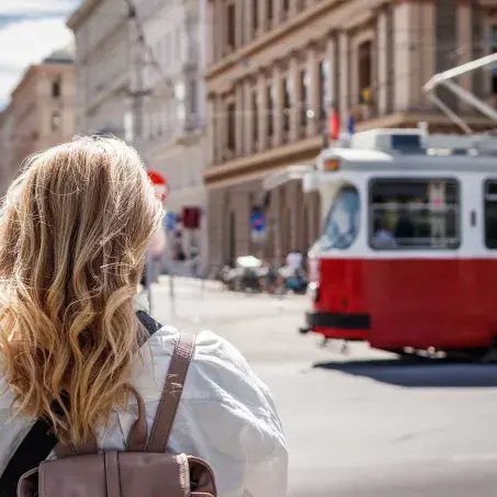 Artikelfoto SW Österreich
